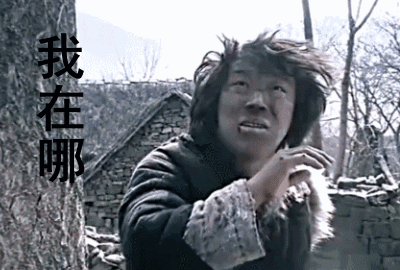 未曾生我谁是我 生我之时我是谁 我是谁,谁是我——搞笑.