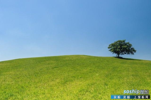 微信图像是一棵树 微信头像真实风景图片,草原上的一棵.
