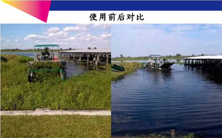 瑞龙 割草船 年夜型割草船 割草船定造 齐主动割草船 山东 ...-6.jpg