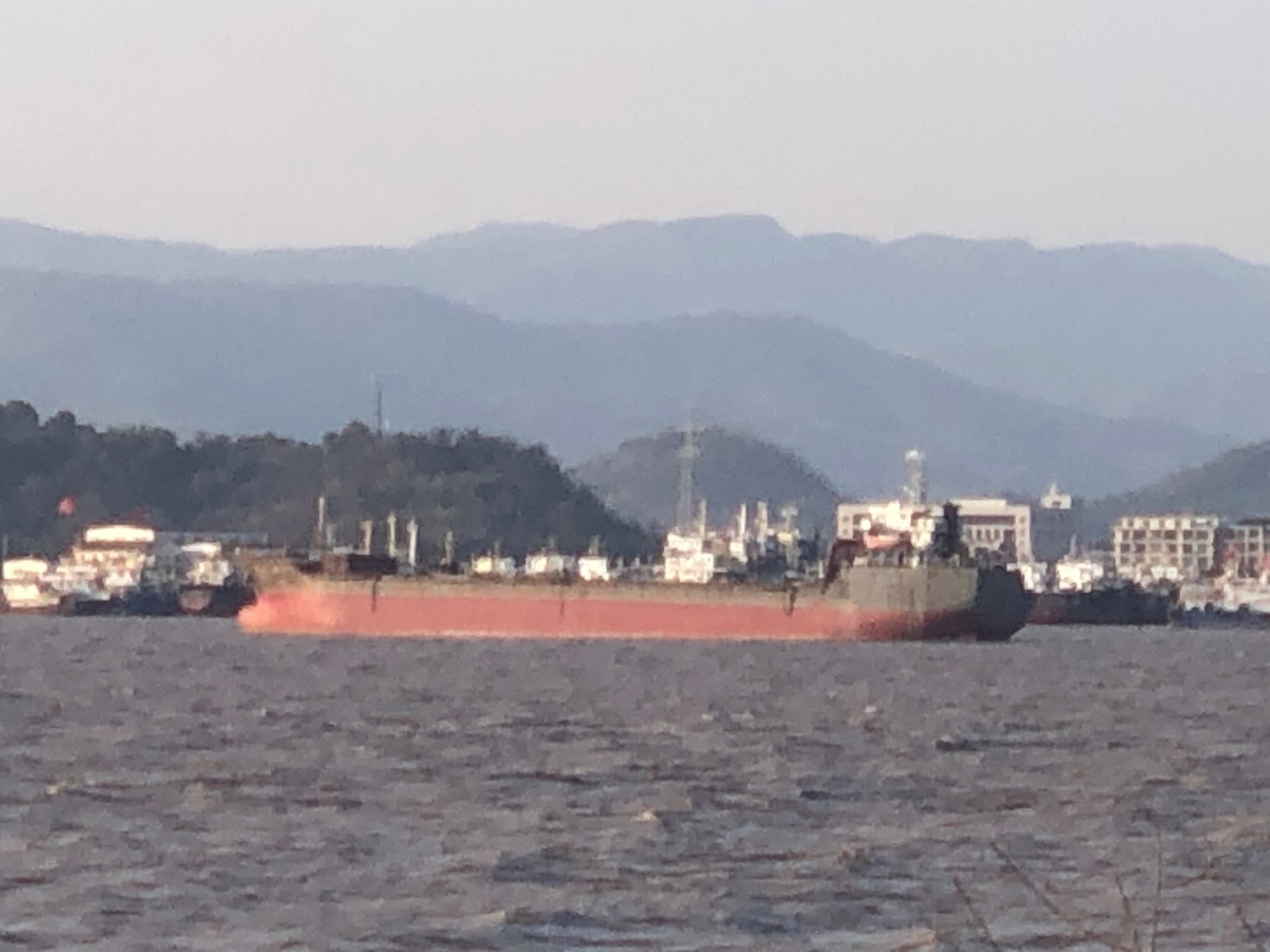 出卖12500吨远洋集货尾付1800万 浙江 温州市-2.jpg