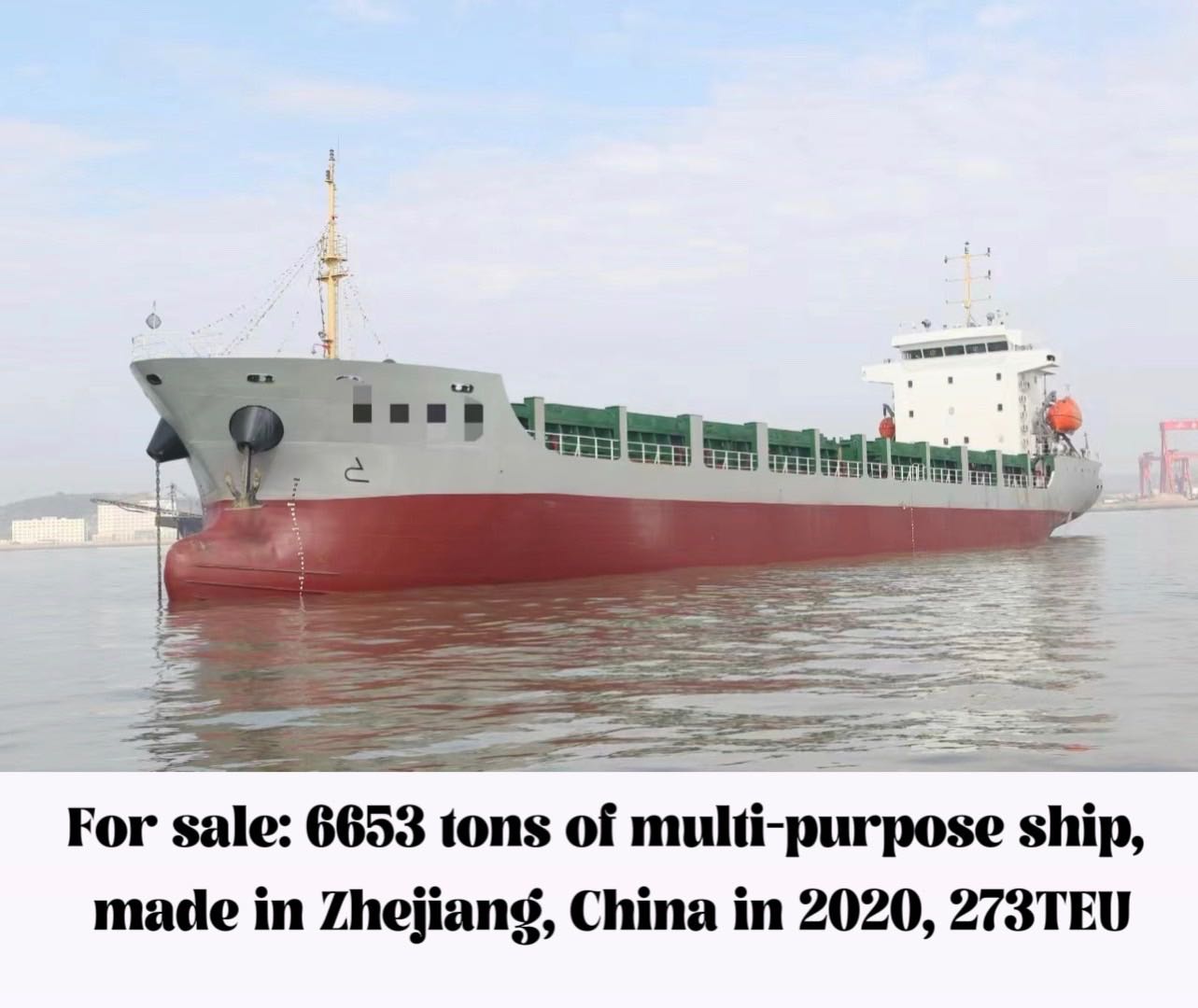 For sale: 6653 tons of multi-purpose ship, made in Zhejiang, China in 2020, 273T-2.jpg