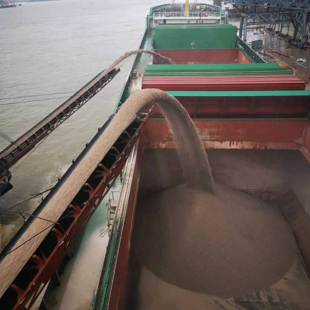 出卖11000吨一样平常干货船 祸建 祸州市-2.jpg