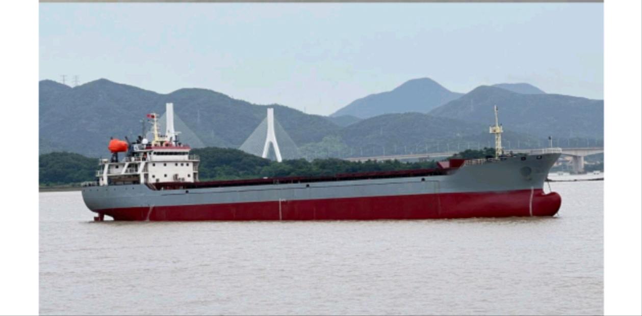 Sale of 8652 ton bulk carriers (flags of convenience) 福建 福州市-2.jpg