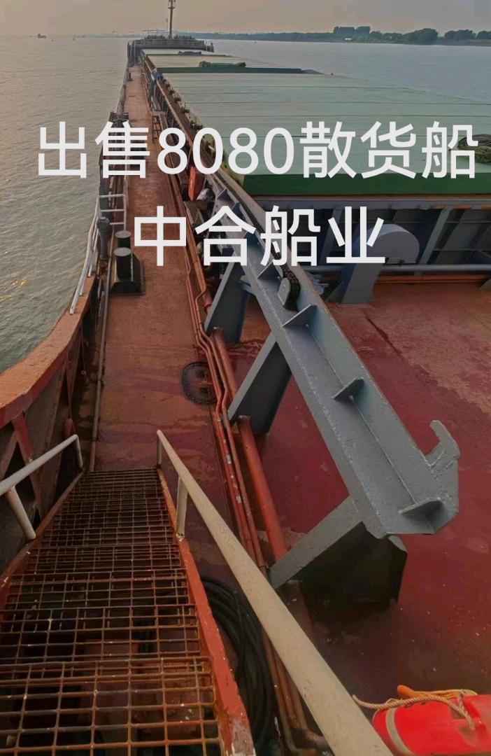 出信8088散货船 福建 宁德市-2.jpg