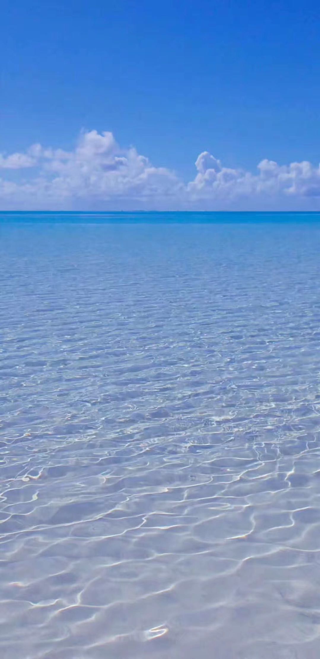 求购双拖500马力左右 大连证书  北京-2.jpeg