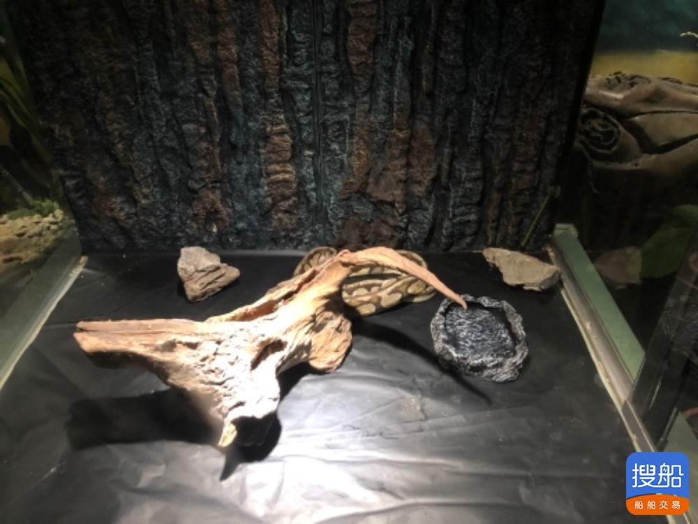急租登陆艇  北京-2.jpg