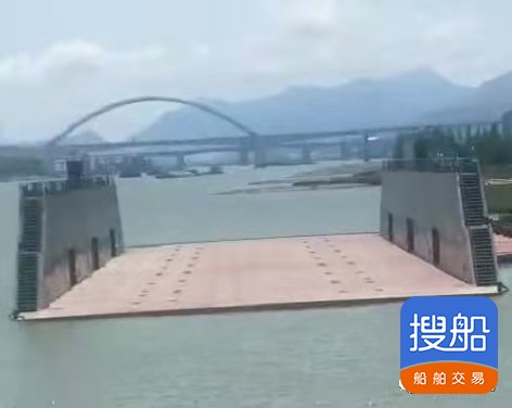 出售2020年造4500吨举力浮船坞 广东 深圳市-2.jpg