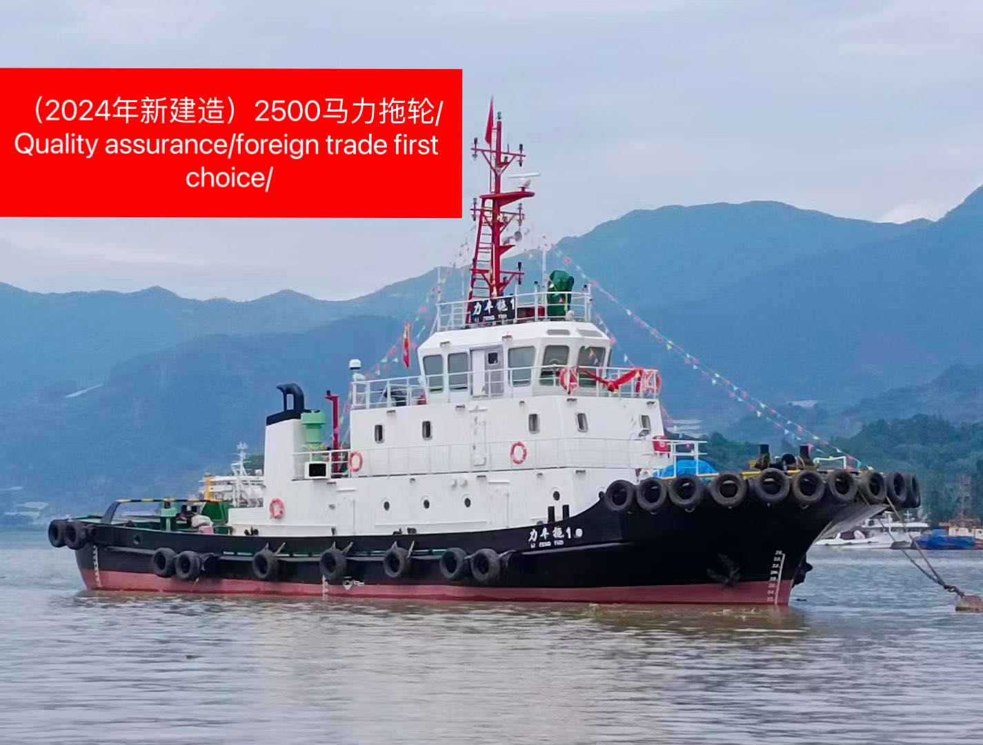 2024年2500马力新建造拖轮/ 中国建造 福建 宁德市-2.jpg