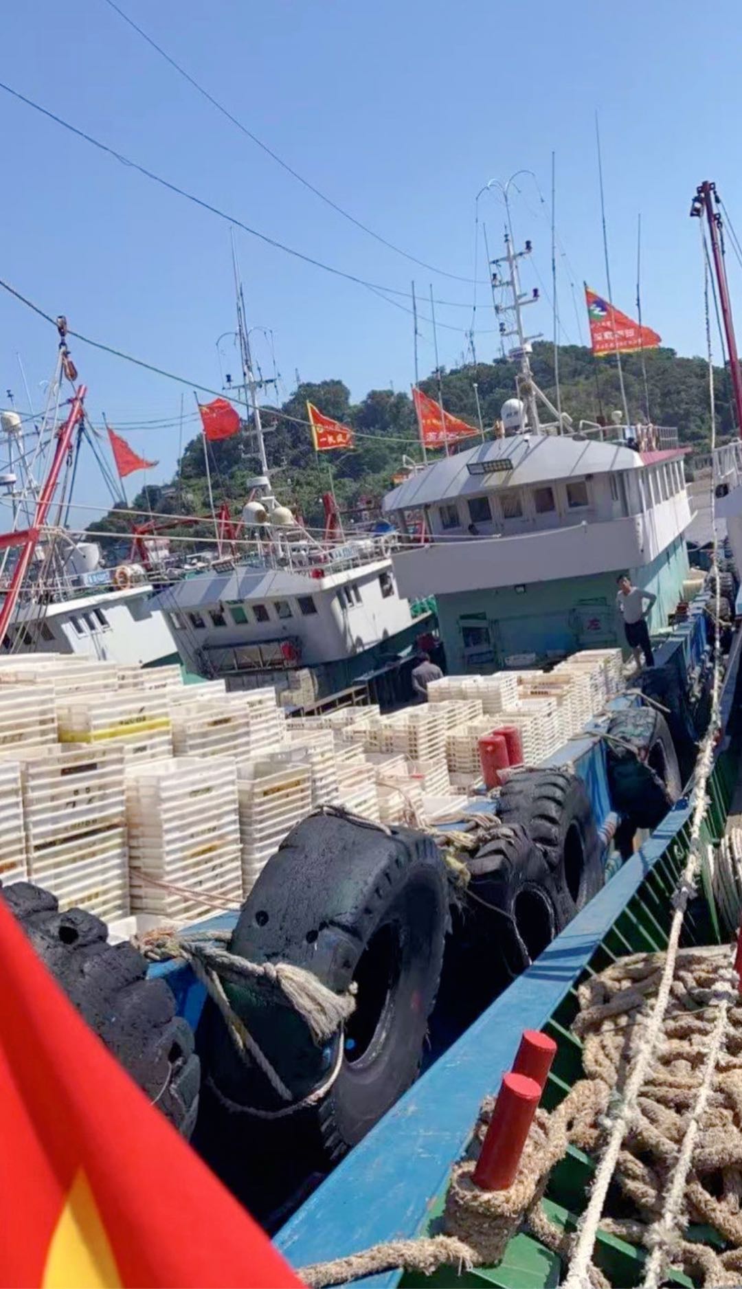 渔运船+证书打包转卖-2.jpg